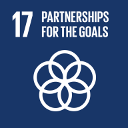 Strengthen the means of implementation and revitalize the global partnership for sustainable development SDG